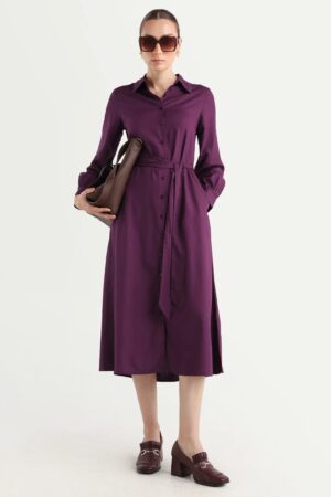 Rareism Women's Eleia Maroon Viscose Collared Neck A-Line Plain Midi Dress